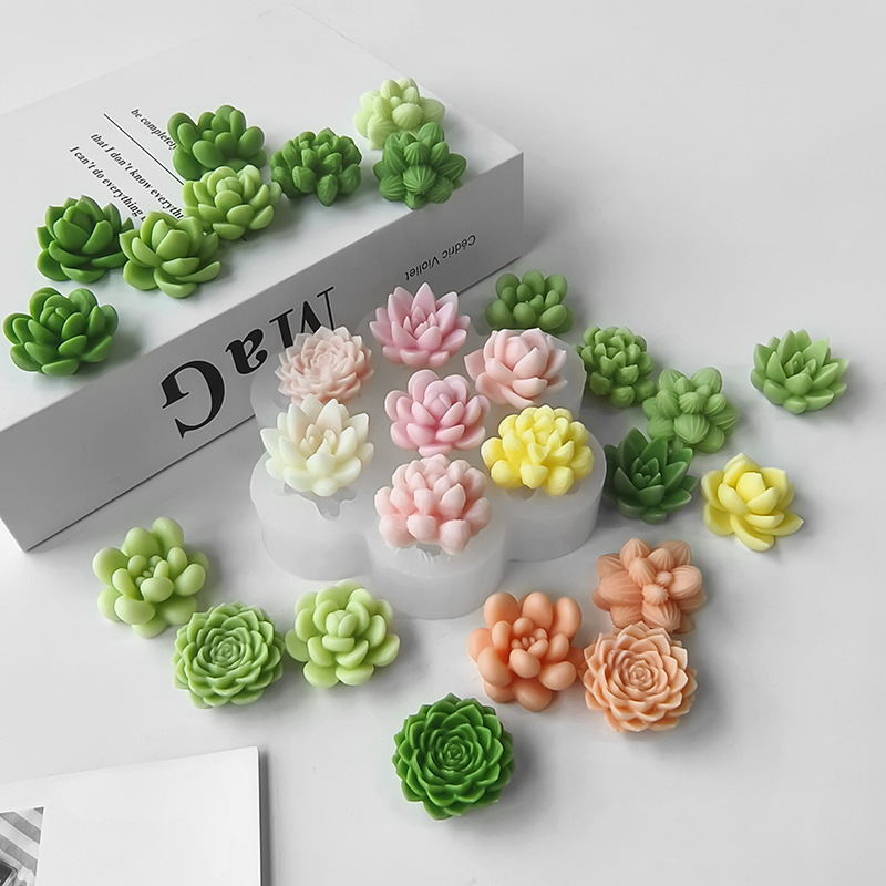 7 in 1 다육식물 선인장 실리콘 몰드, DIY 수제 - Soap Making Essentials 리뷰 및 가격